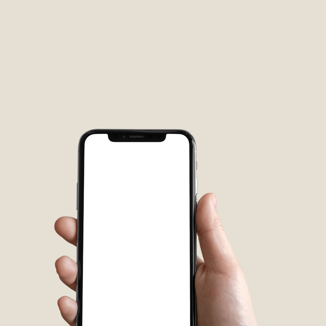 Get Stebby App