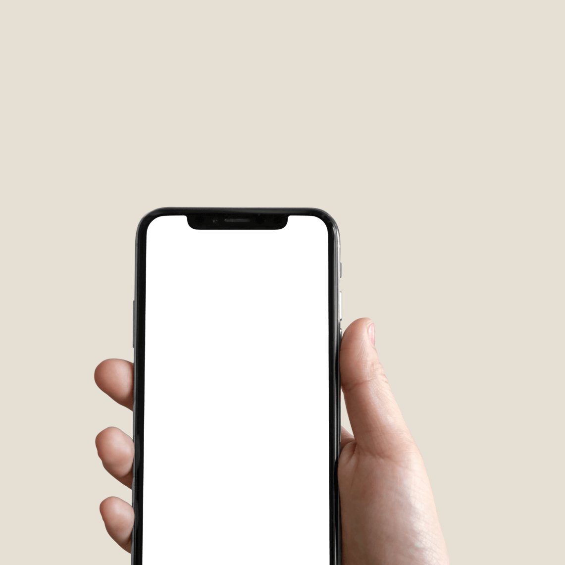 Atsisiųskite „Stebby“ programėlę