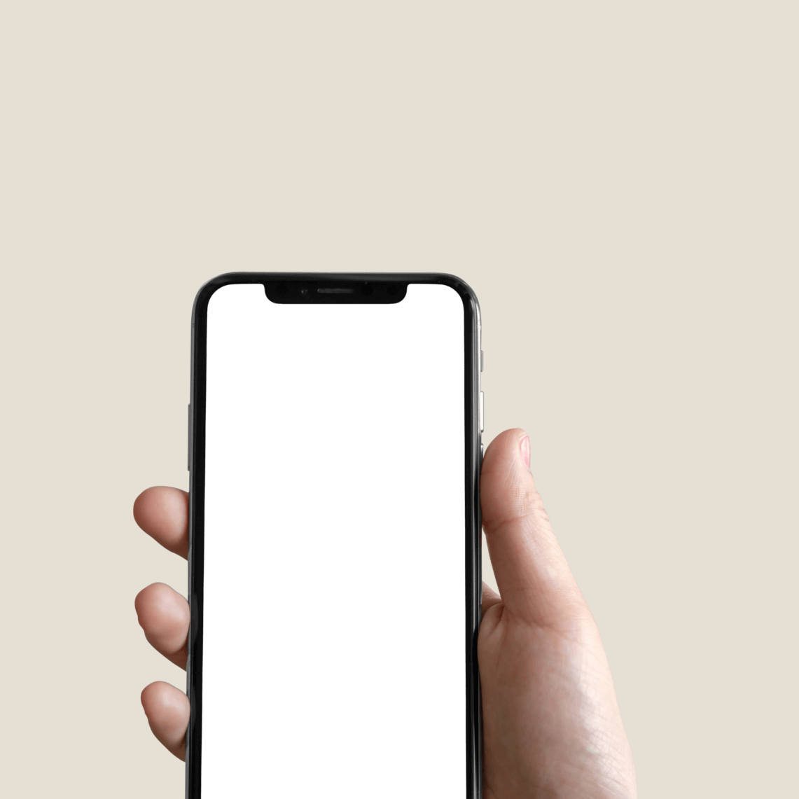 Get Stebby App