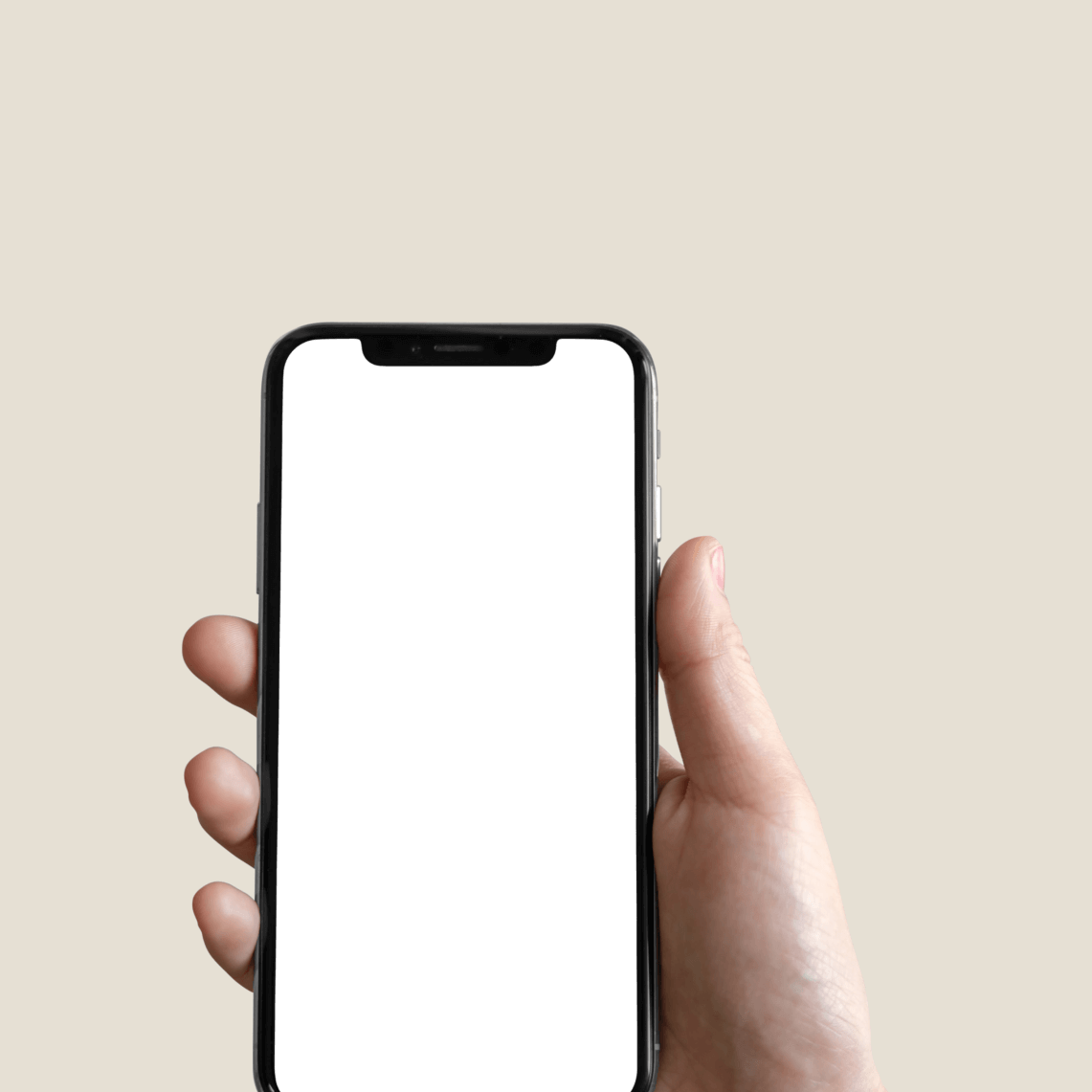 Get Stebby App