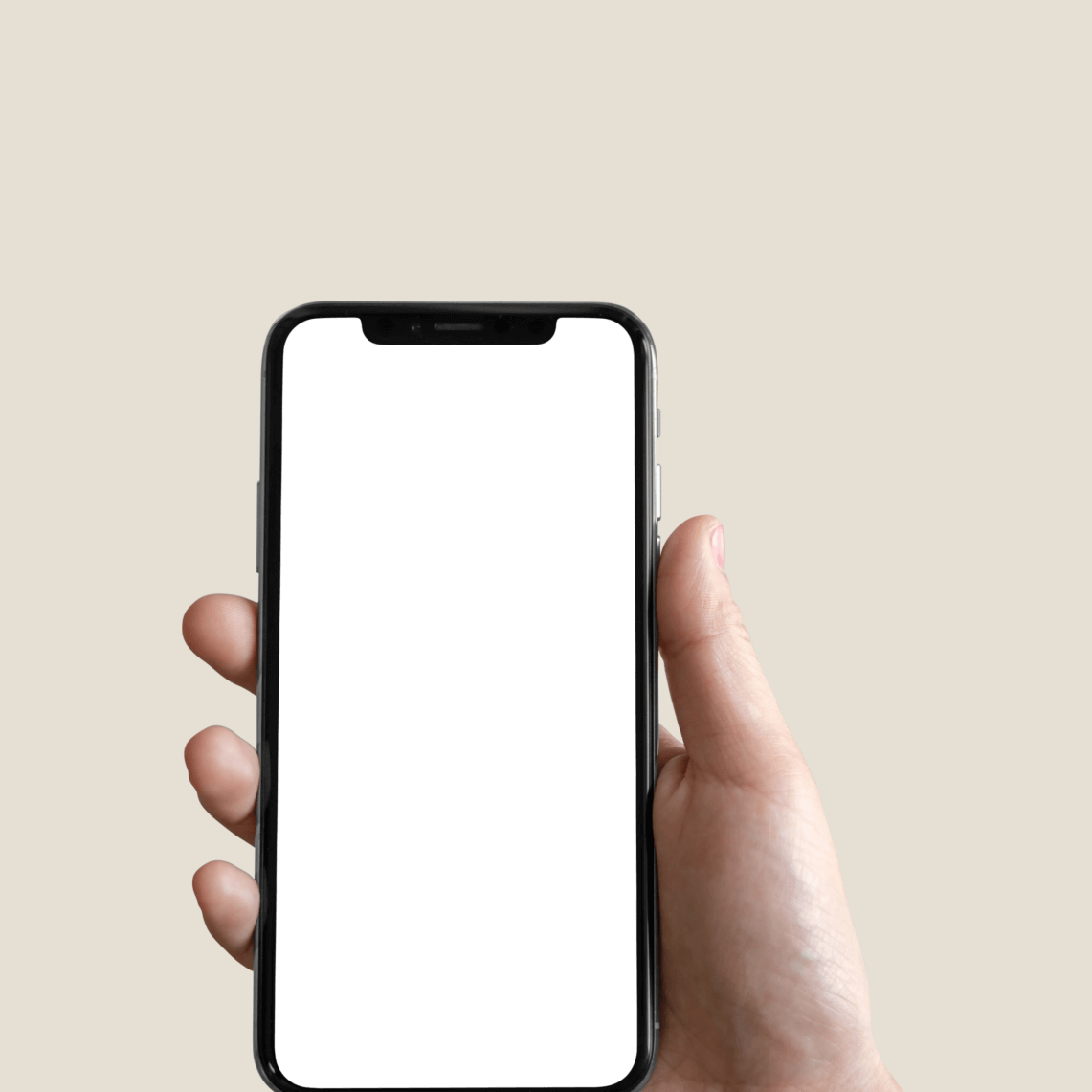 Get Stebby App