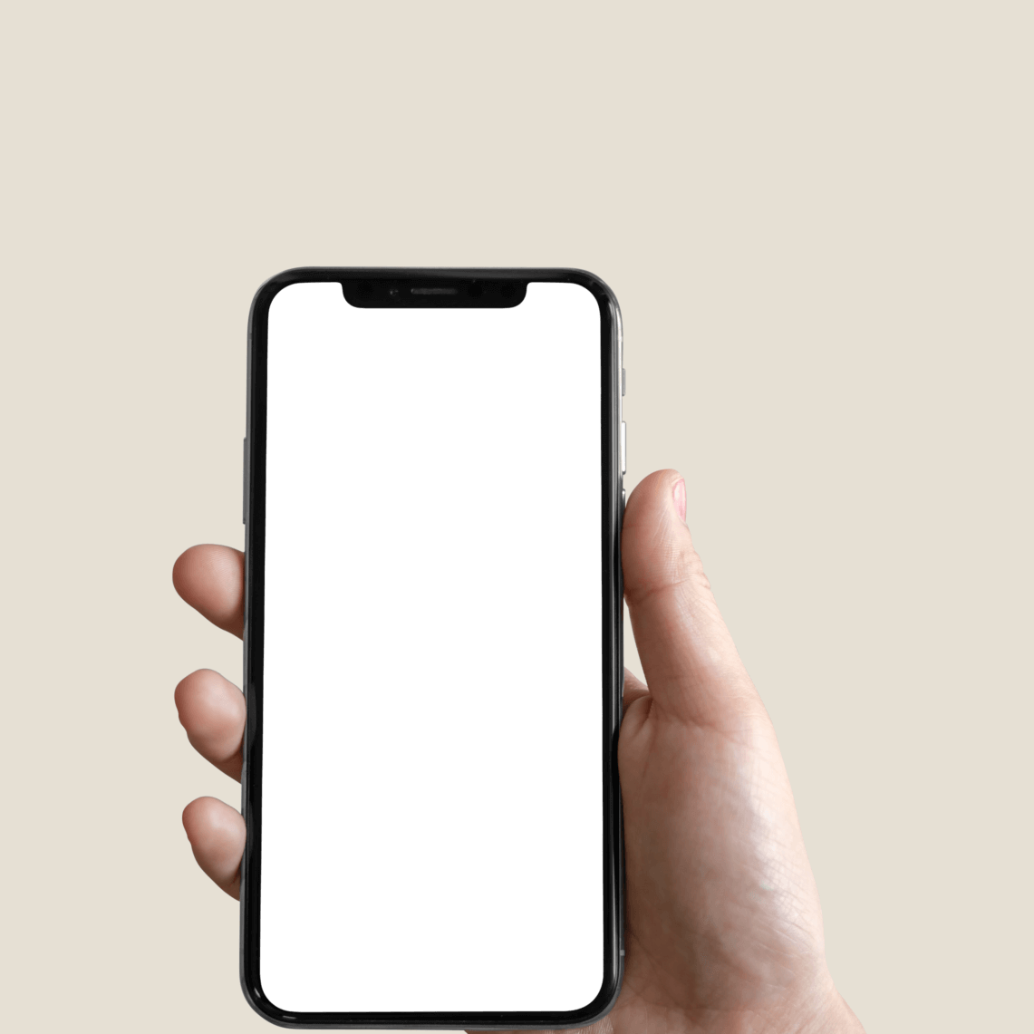 Get Stebby App