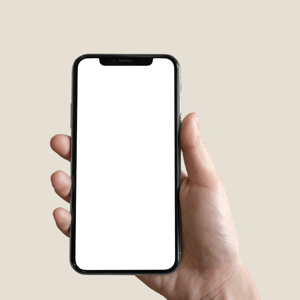 Get Stebby App