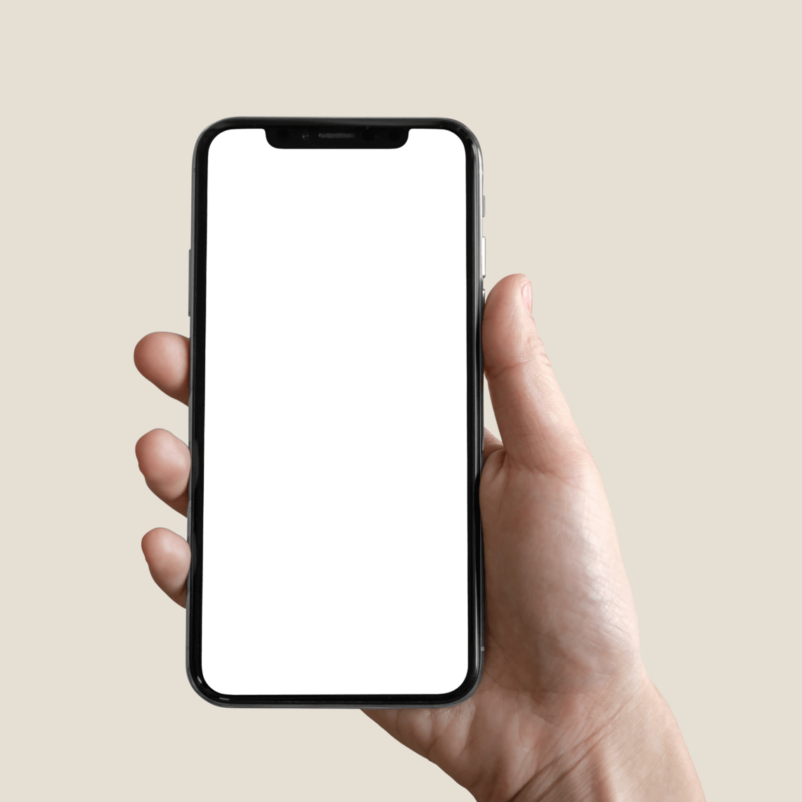 Get Stebby App