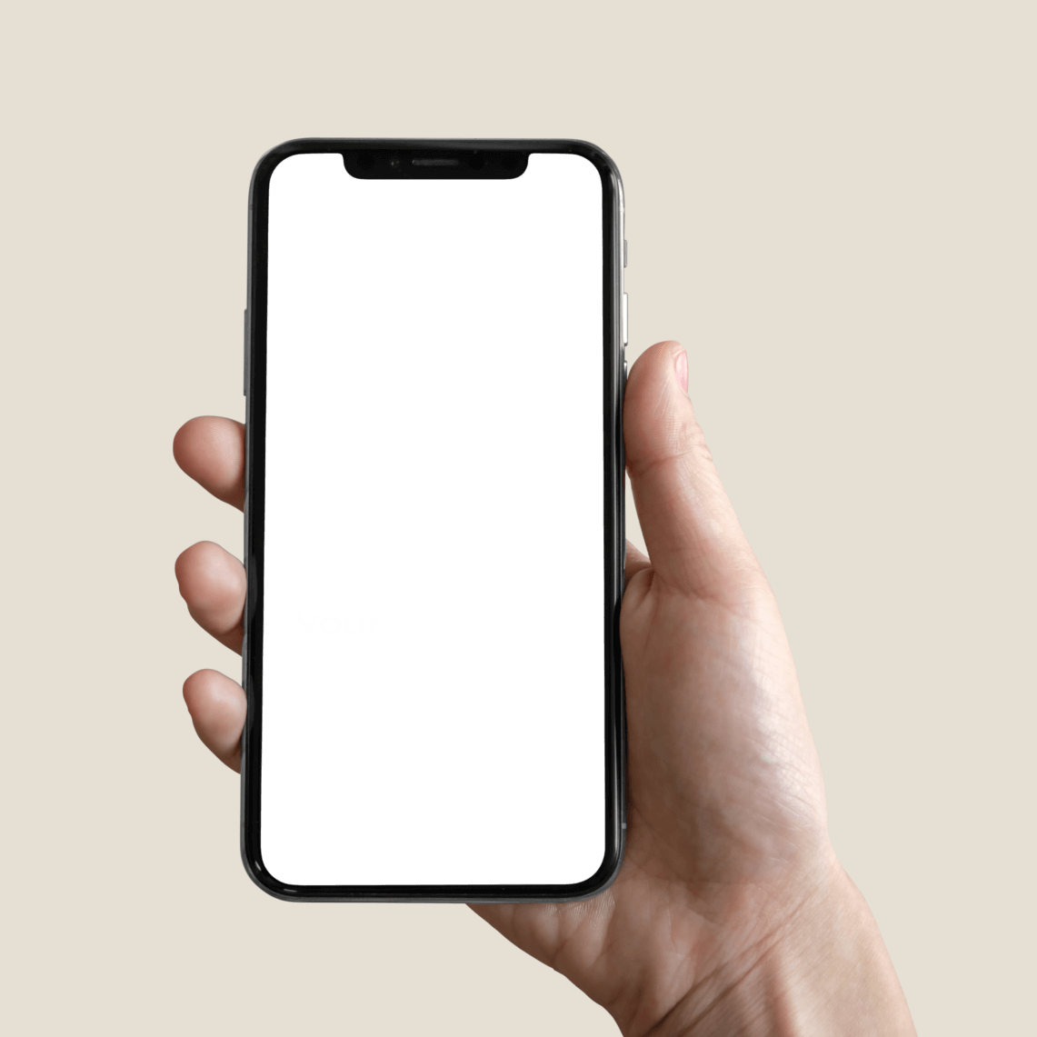 Get Stebby App