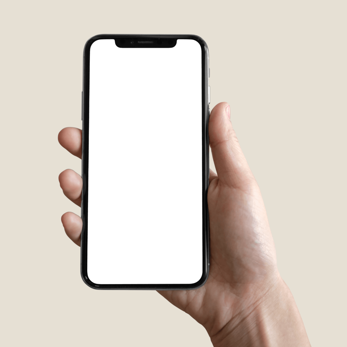 Get Stebby App