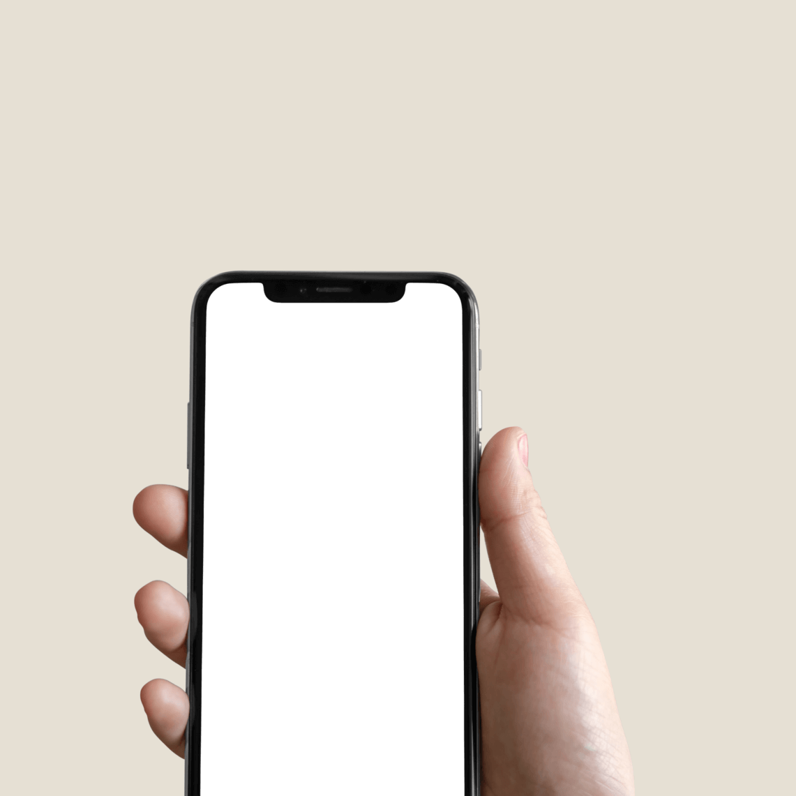 Atsisiųskite „Stebby“ programėlę