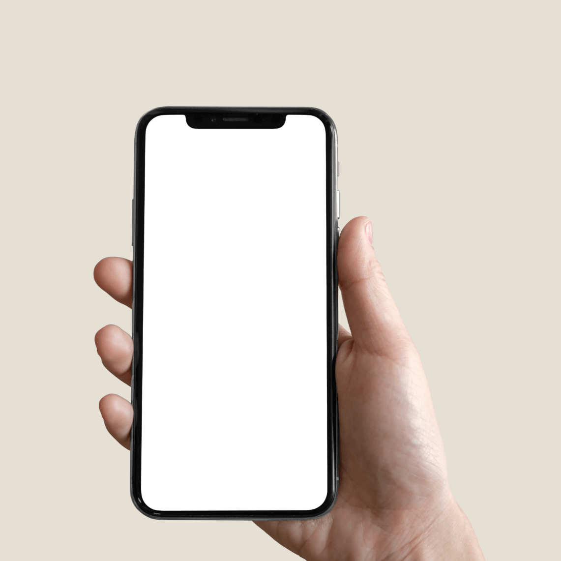 Get Stebby App